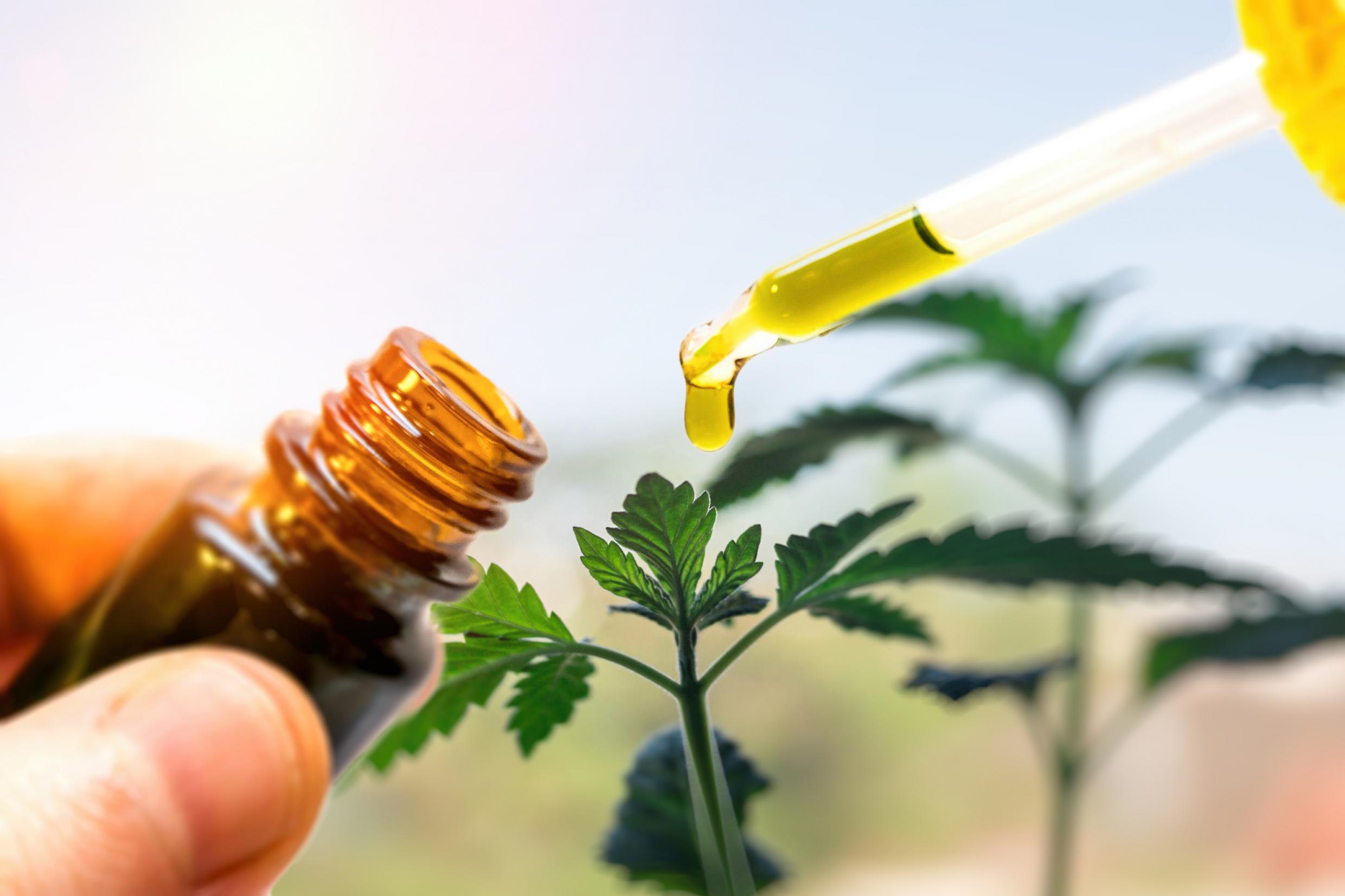 Here Is The Article On The Best CBD Oil For Anxiety